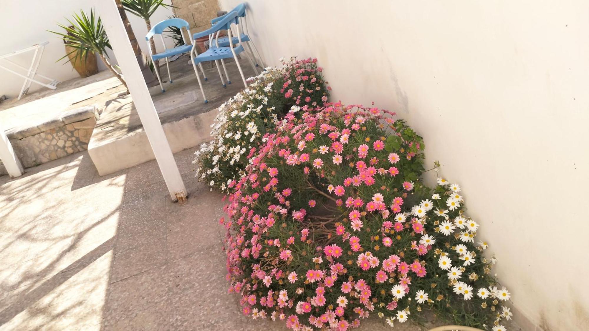 Villa Casa Antonio E Nicoletta à Porto Cesareo Extérieur photo